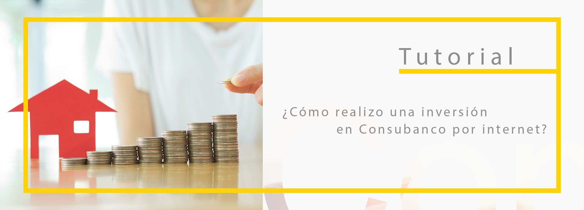 Realizar inversion