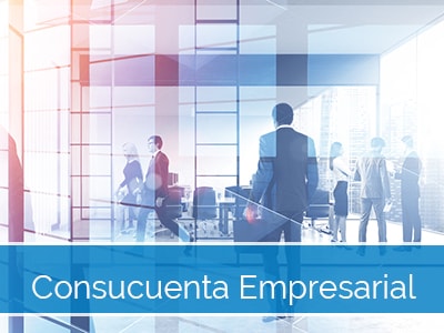 Consucuenta Empresarial