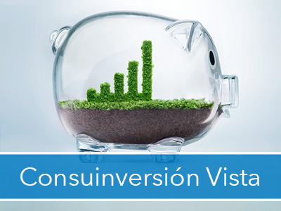 Consuinversión Vista