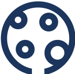 Cookie Icon