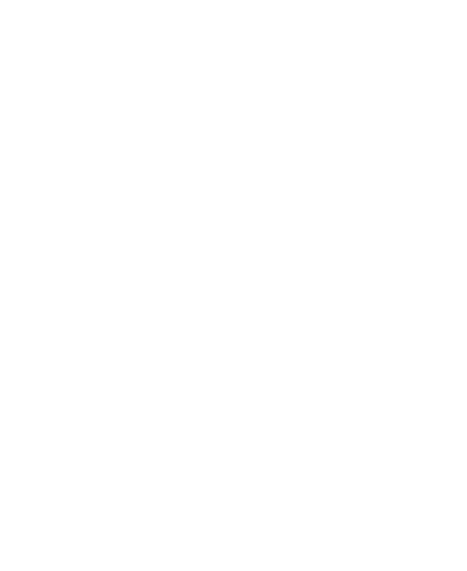icon app store